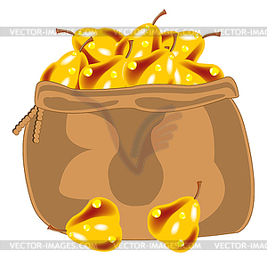 Yellow pear in bag - vector clipart