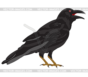 Black raven - vector image