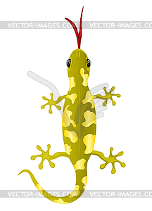 Lizard - vector clipart