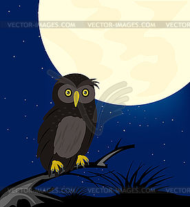 Owl sits on tree in night - vector image