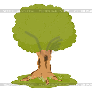 Tree on glade - vector clipart