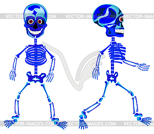 Two walking skeletons - vector image
