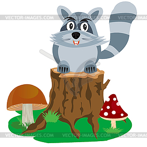 Racoon on hemp tree - vector image