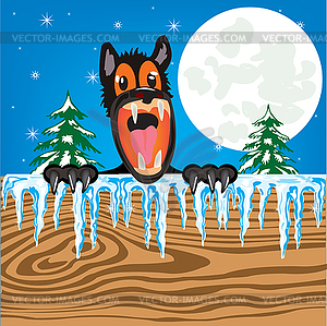 Gray wolf moon in night and wooden board - vector clipart