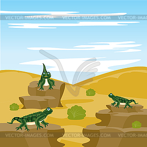 Lizard iguana in desert - vector image