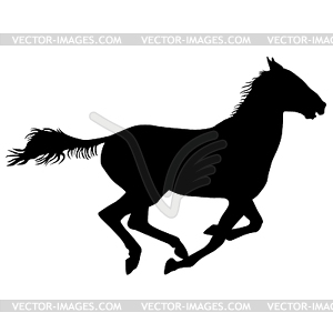 Silhouette of black mustang horse - vector clipart