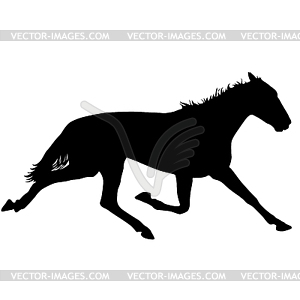 Silhouette of black mustang horse - vector image