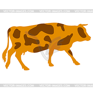Silhouettes of spotted cow.  - vector clip art