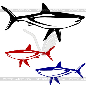 Shark, black and white outline - vector image