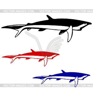Shark, black and white outline - vector clipart