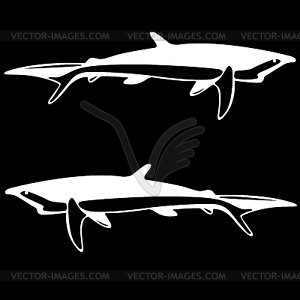 Shark, black and white outline - vector clipart