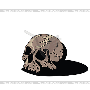 Scull shadow - vector clipart / vector image