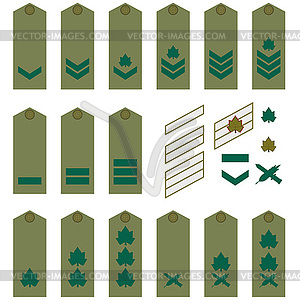 Israeli Army insignia - vector image