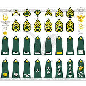 Insignia of U.S. Army - vector image