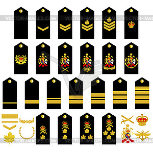 Canadian Army insignia - vector clipart