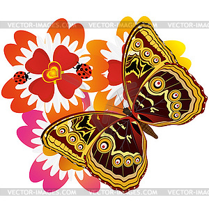 Butterfly on flower- - vector image