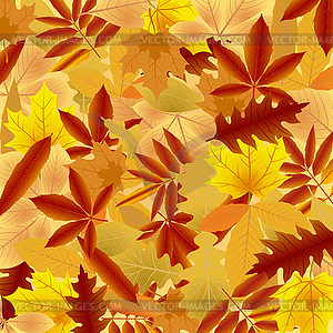 Background of autumn leaves - vector image