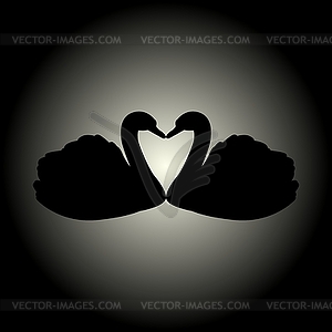 Two swans - vector clip art