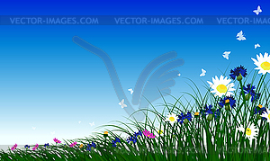 Meadow color - vector clipart