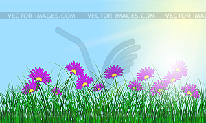 Meadow color - vector image