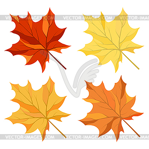 Maple leaves set - vector clipart