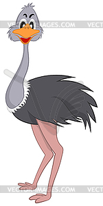 Funny Cartoon Ostrich - vector clip art
