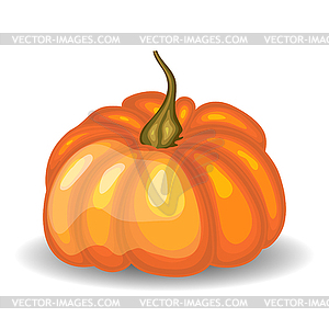 Glossy Orange Pumpkin - color vector clipart