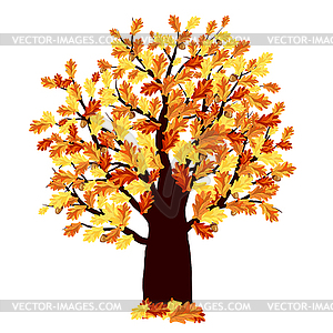 Autumn Oak Tree - vector image