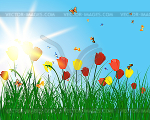 Color meadow - vector image