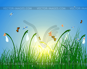 Color meadow - vector image