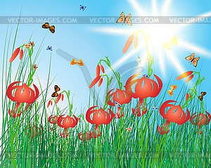 Color meadow - vector image