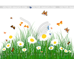 Color meadow - vector clip art