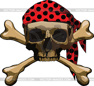 Bones - vector EPS clipart