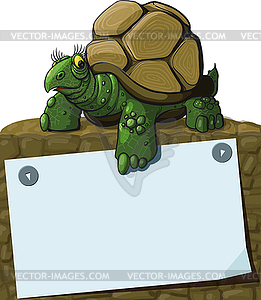 Intelligent Turtle - stock vector clipart