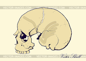 Retro Skull Profile - vector image