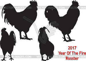 Black Rooster four positions - color vector clipart