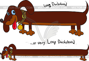 Long fun dachshund - vector image