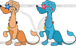 Poodle - color vector clipart