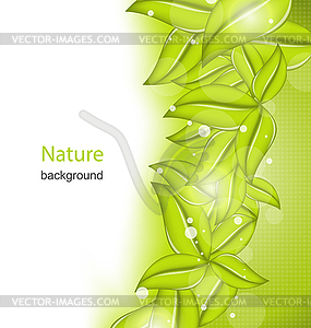 Summer Card with Eco Green Leaves - vector clip art