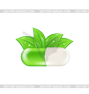 Pills and Herbs - vector clip art