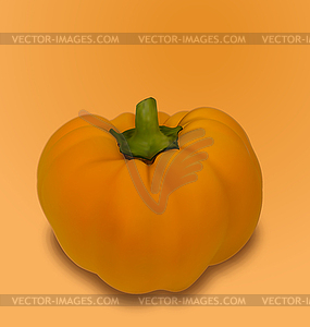 Pumpkin Vegetable with Shadow - vector clip art