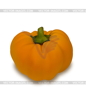 Photo Realistic Pumpkin Vegetable - vector clipart