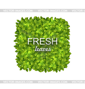 Eco Friendly Label Made in Green Leaves - vector image