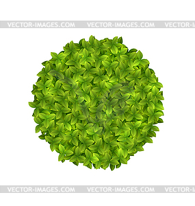 Eco Friendly Circle Frame Made in Green Leaves - vector clipart