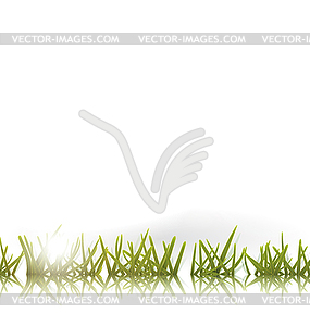 Зеленая трава с отражением солнца и - изображение в векторе