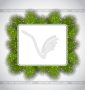 Winter Holiday Card with Fir Branches - vector image