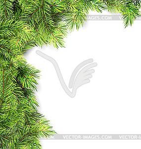 Natural Framework with Fir Twigs - vector image