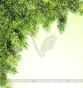 Natural Framework with Fir Twigs - vector clipart