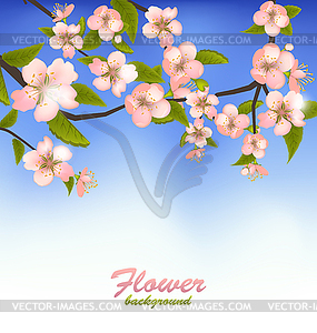 Spring Background of Blossoming Tree Branch with - vector image