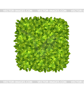 Eco Friendly Label Made in Green Leaves, - vector image